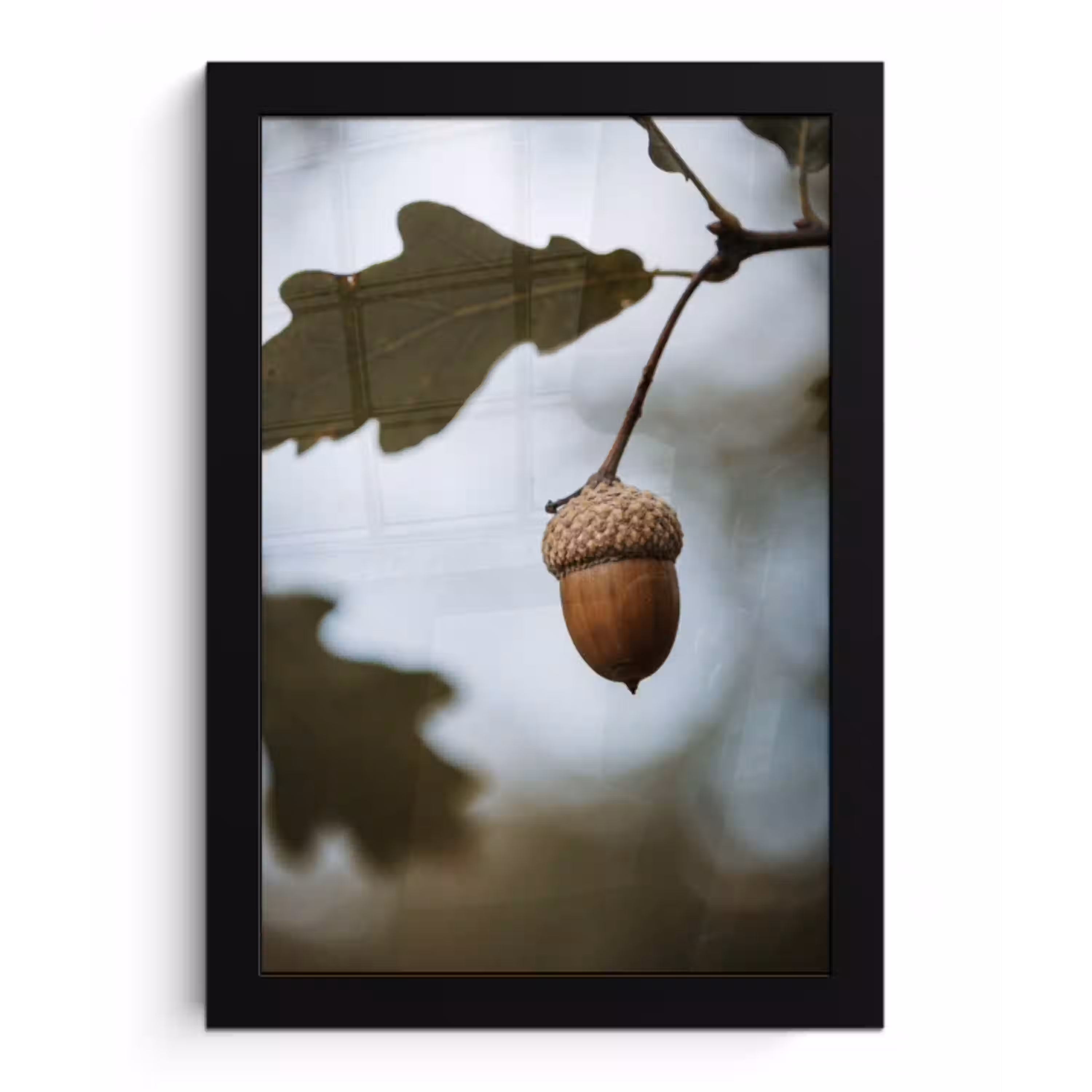 Eikel - Eikenblad - Bos - Herfst - Natuur fotolijst zwart zonder passe partout klein -3d