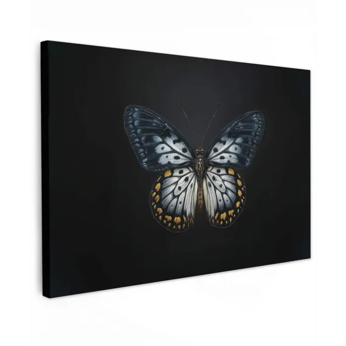 Vlinder - Monochroom - Balans canvas 2cm klein -z3d