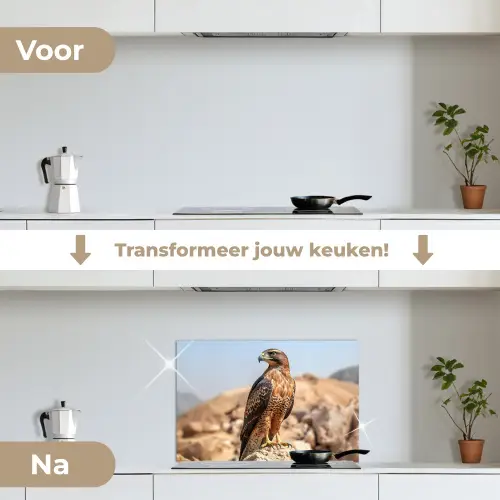 Valk - Vogel - Rots - Macht keuken achterwand spatscherm klein -voor_na_NL