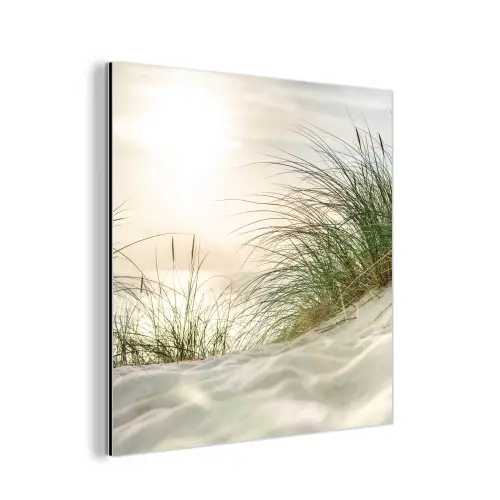 Duin - Waddeneilanden - Water aluminium wit klein -3d