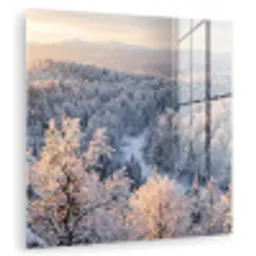 Bos - Bergen - Goud - Winter - Warm plexiglas 5mm klein -zzzproduct_nieuw