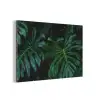 Monstera - Jungle - Bladeren aluminium wit klein -3d