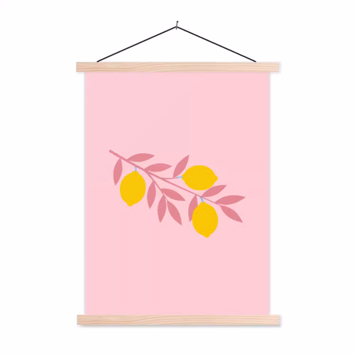 Hanging Poster - Fruit - Branch - Nature - Abstract - Pink