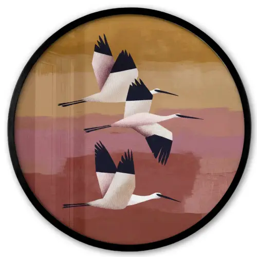 Vogels - Snavel - Abstract Fotolijst rond zonder passe partout klein -3d