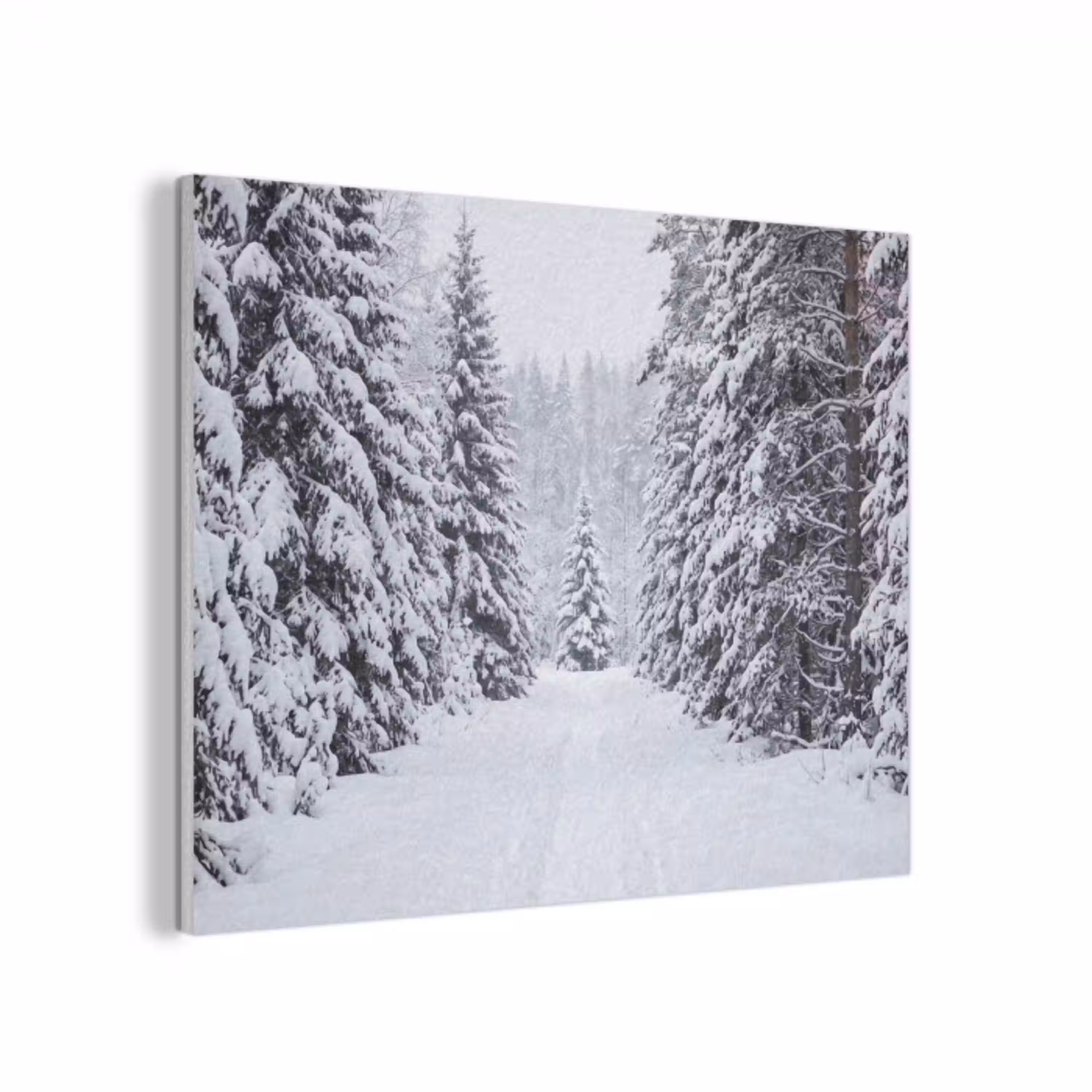Bos - Winter - Sneeuw - Pad - Natuur PET vilt klein -3d