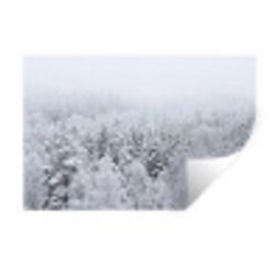 Bos - Sneeuw - Winter - Natuur - Wit Muursticker klein -3d