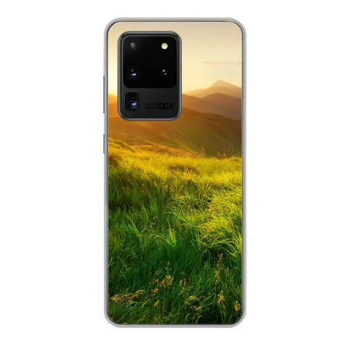 shutterstock-407021107 Telefoonhoesje Samsung Galaxy S20 Ultra klein -3d