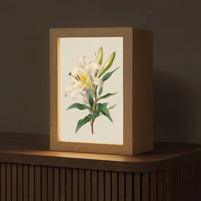 Lelie - Elegant - Botanisch - Beige Light Box met kabel (Tafellamp) klein -z3d_website