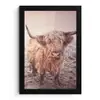 Schotse hooglanders - Licht - Lucht - Natuur fotolijst zwart zonder passe partout klein -3d