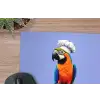 Papegaai - Koksmuts - Vogel - Leuk muismat rubber klein -closeup