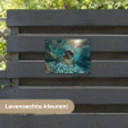 Zeehond - Water - Blauw tuinposter los doek klein -sfeer3