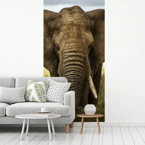 Olifant - Natuur - Gras - Dieren - Landschap fotobehang vinyl groot -woonkamer