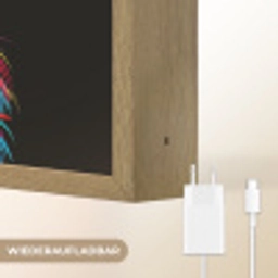 Leeuwen - Kleurrijk - Zwart - Dieren Light Box met batterij (Wandlamp kind) middel -USP_websiteoplaadbaarDE