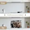 Schotse hooglander - Verf - Koe keuken achterwand spatscherm klein -voor_na_NL