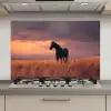 Paard - Wolken - Open veld keuken achterwand spatscherm klein -3d_website