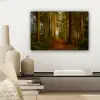 Bos - Natuur - Bomen - Landschap - Bladeren canvas 2cm klein -sfeer6