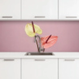 Bloemen - Anthuriums - Geel - Roze keuken achterwand 2 middel -3d