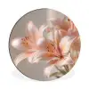 Lelies - Meeldraden - Roze - Wazig Wandcirkel aluminium klein -3d