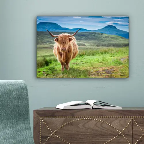 Schotse hooglander - Koe - Natuur - Berg - Gras canvas 2cm klein -sfeer4