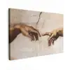 Adam - Michelangelo - Schilderij - Creation of Adam canvas 2cm klein -z3d