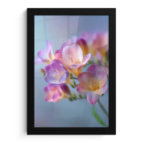 Bloemen - Paars - Overloop - Meeldraden fotolijst zwart zonder passe partout klein -3d