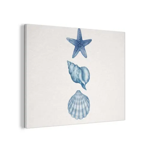 Zeester - Schelpen - Blauw PET vilt klein -3d
