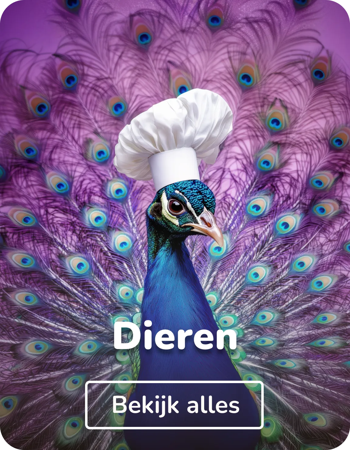 Muurstickers dieren