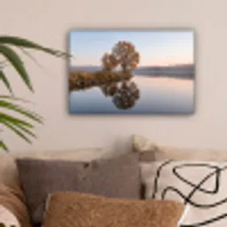 Bomen - Reflectie - Water - Zonsopgang - Serene canvas 2cm klein -sfeer1