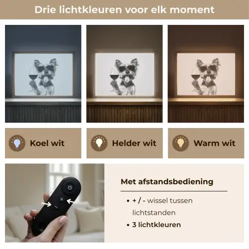 Hondje - Wijnglas - Zonnebril - Enthousiast Light Box met batterij (Wandlamp) middel -USP_lichtkleurNL