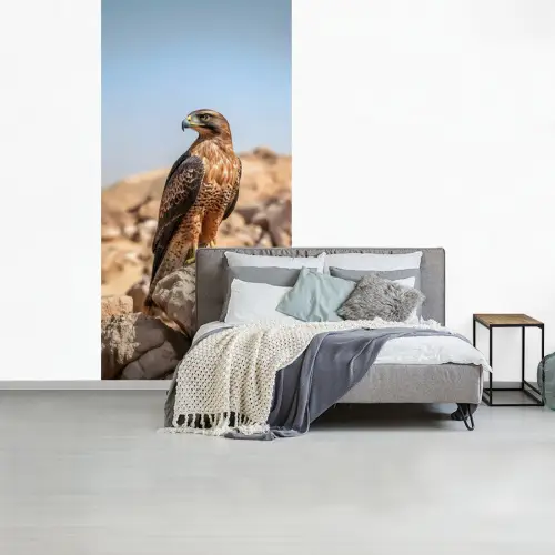 Valk - Vogel - Rots - Macht fotobehang vinyl groot -slaapkamer