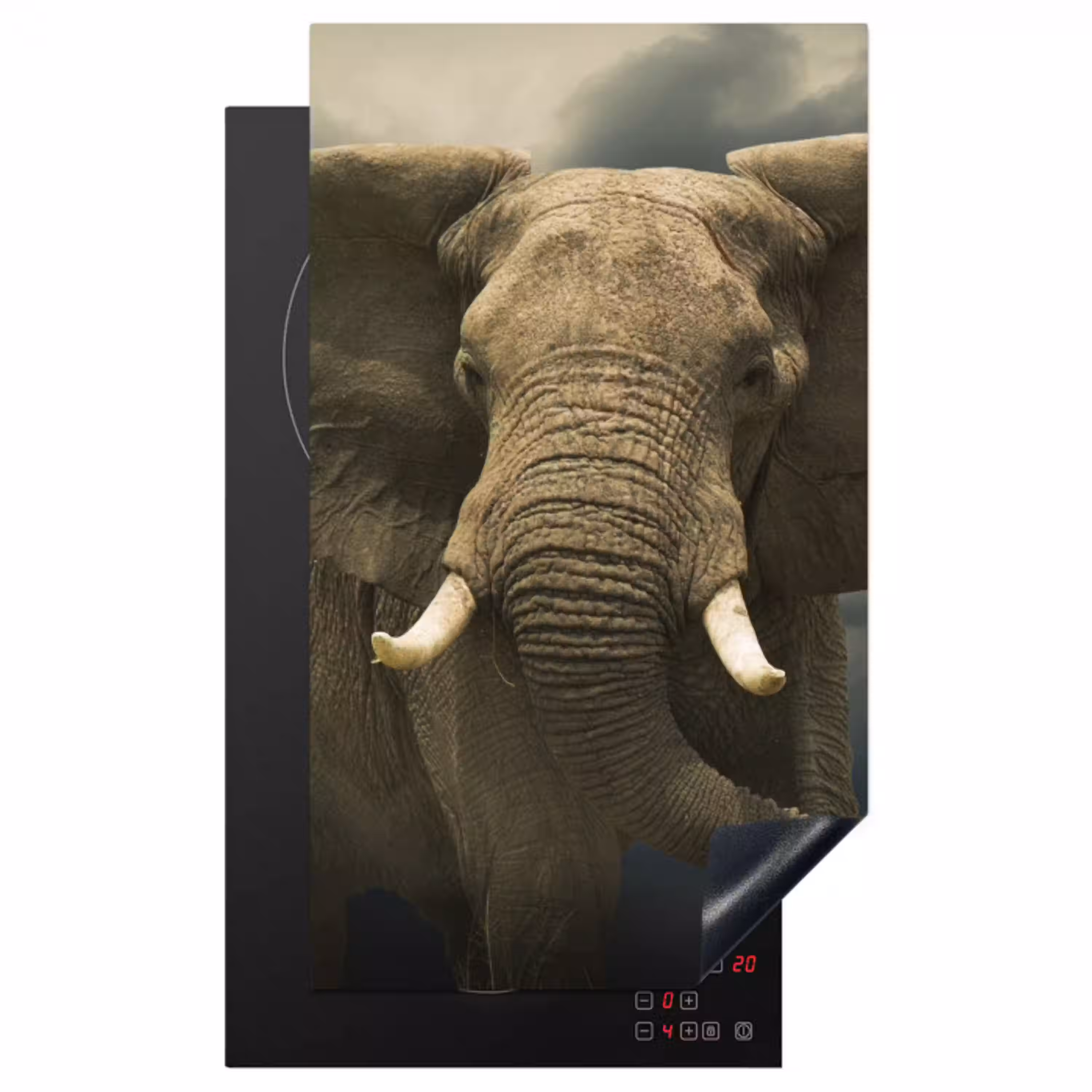 Afrikaanse olifant tegen de donkere wolken Inductie beschermer vinyl 3mm middel -3d