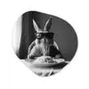 Konijn - Bunny - Zonnebril - Tafelkleed - Pasta - Schattig Wandcirkel Organisch Aluminium middel -3d