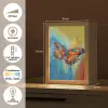 Vlinder - Kleuren - Kunst - Schilderij Light Box met kabel (Tafellamp) klein -USP_NL