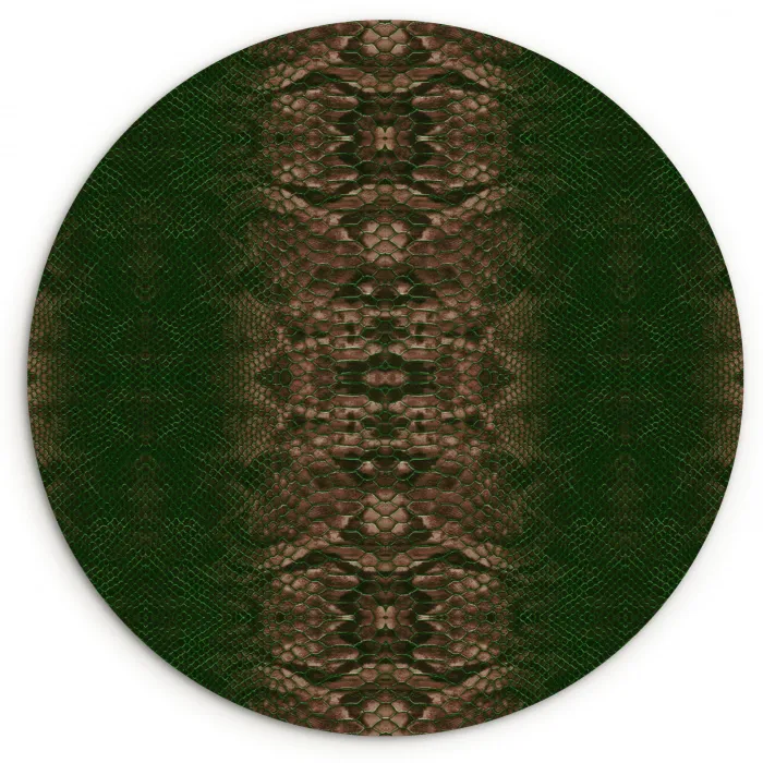 Slang - Boa - Groen - Bruin Wandcirkel plexiglas klein 852 -3d