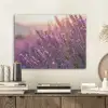 Lavendel - Paars - Zonlicht PET vilt klein -sfeer1