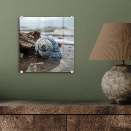 Schelp - Strand - Blauw - Zee plexiglas 5mm klein -sfeer3