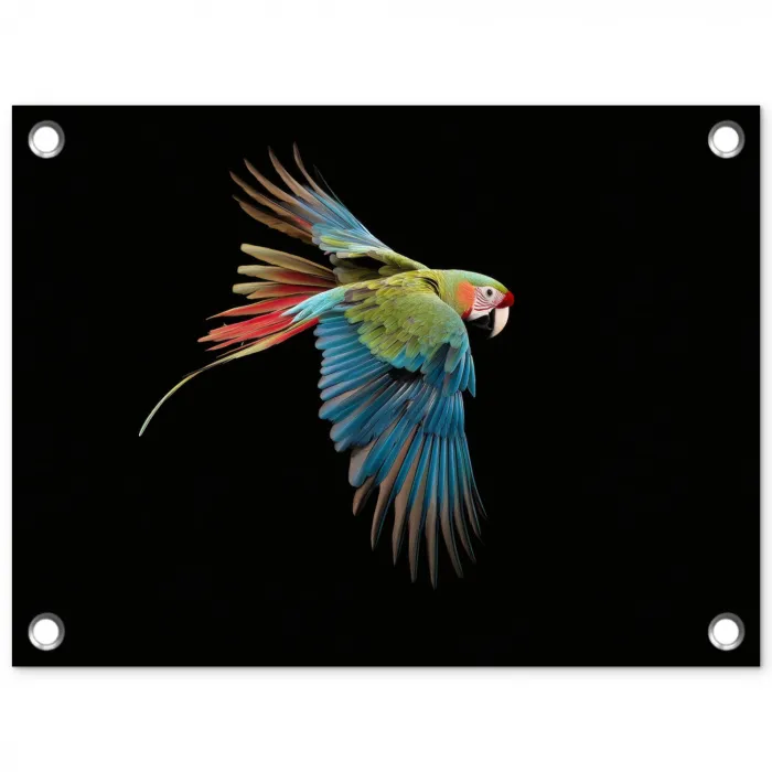 Papegaai - Kleurrijk - Vleugels - Sierlijk tuinposter los doek klein -3d