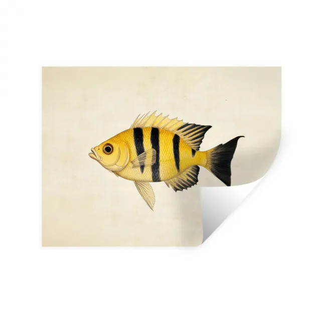 Wall Sticker - Yellow - Fish - Stripes - Tropical