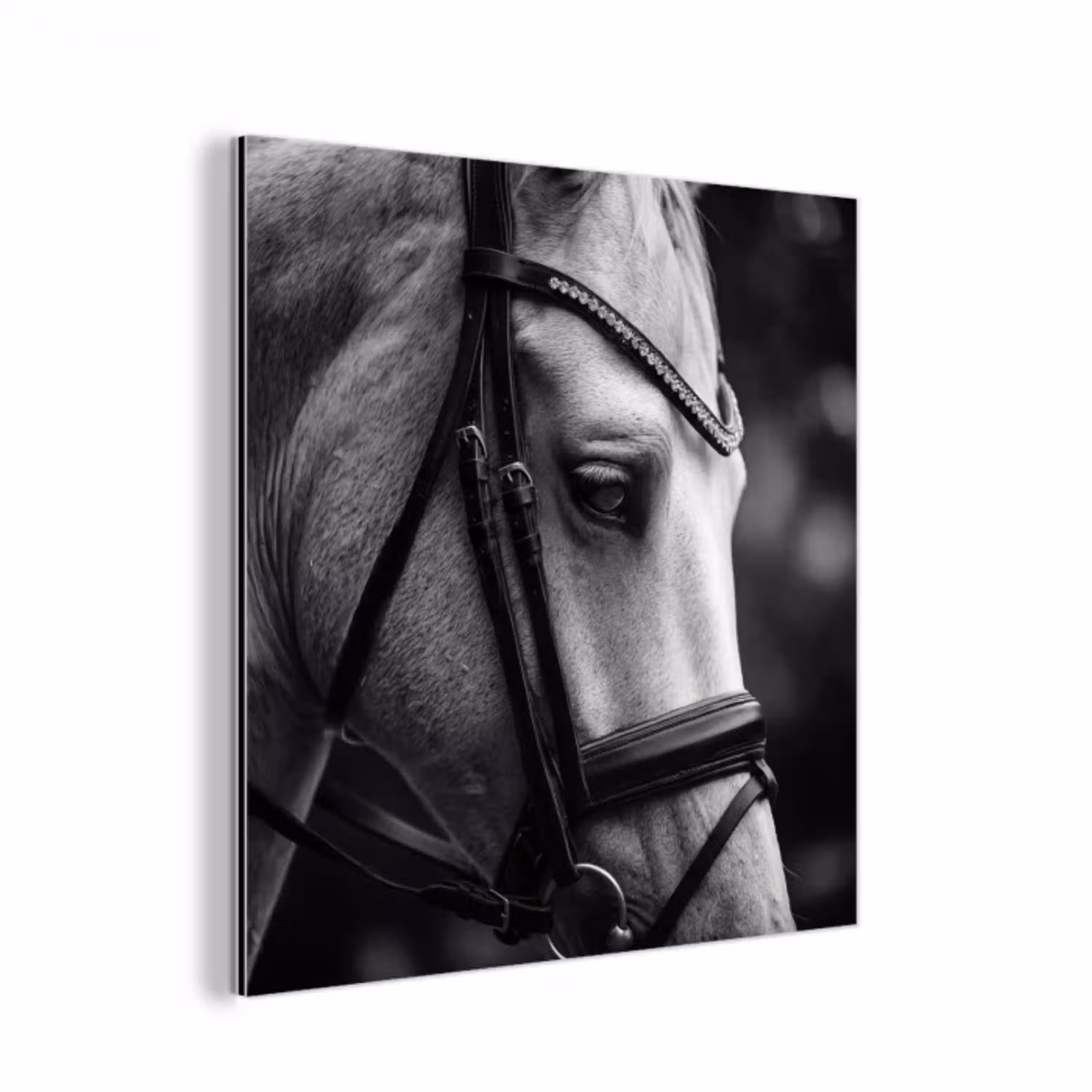 Paard - Schimmel - Portret aluminium wit klein -3d