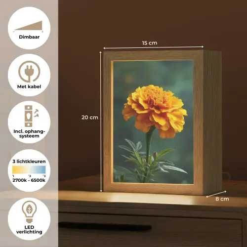 Bloemblaadjes - Afrikaan - Oranje - Wazig Light Box met kabel (Tafellamp) klein -USP_NL