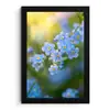 Bloemetjes - Blauw - Vergeet mij nietjes fotolijst zwart zonder passe partout klein -3d