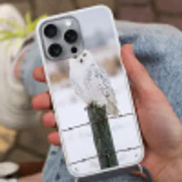 Sneeuwuil - Hek - Sneeuw - Wit Hoesje iPhone 16 Pro Max met koord klein -sfeer3