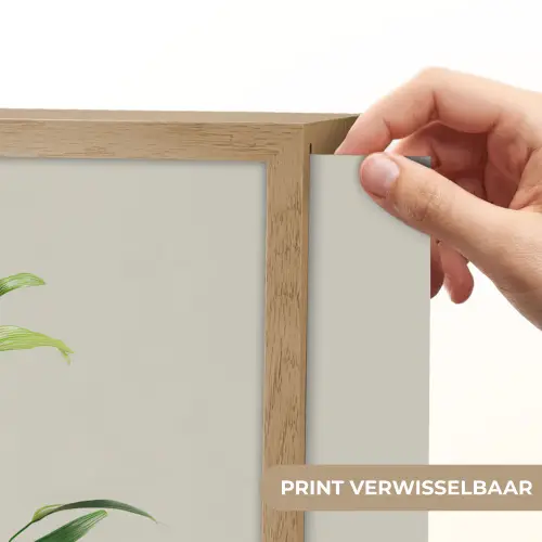 Bamboestengels - Sierlijk - Groen Light Box met batterij (Wandlamp) middel -USP_websiteprintNL