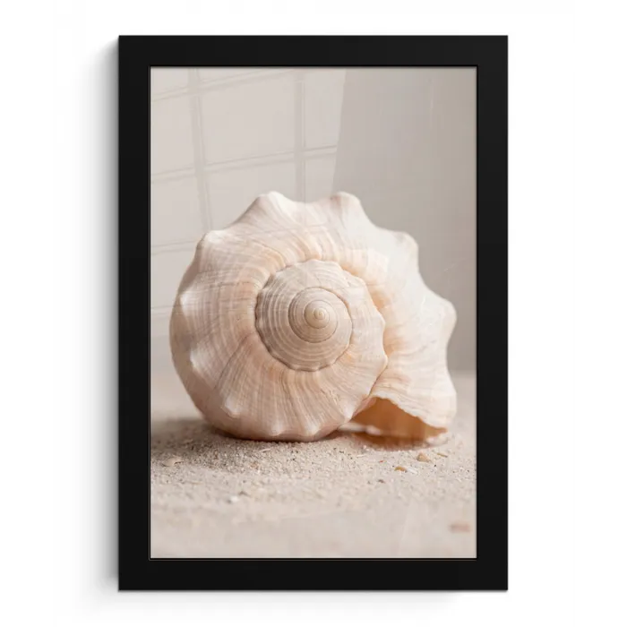 Schelp - Detail - Beige fotolijst zwart zonder passe partout klein -3d
