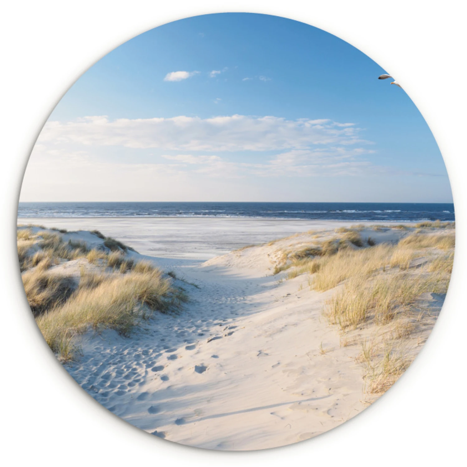 Muurcirkel - Duin - Meeuw - Strand - Zee - Zon - Profiteer nu van de ...
