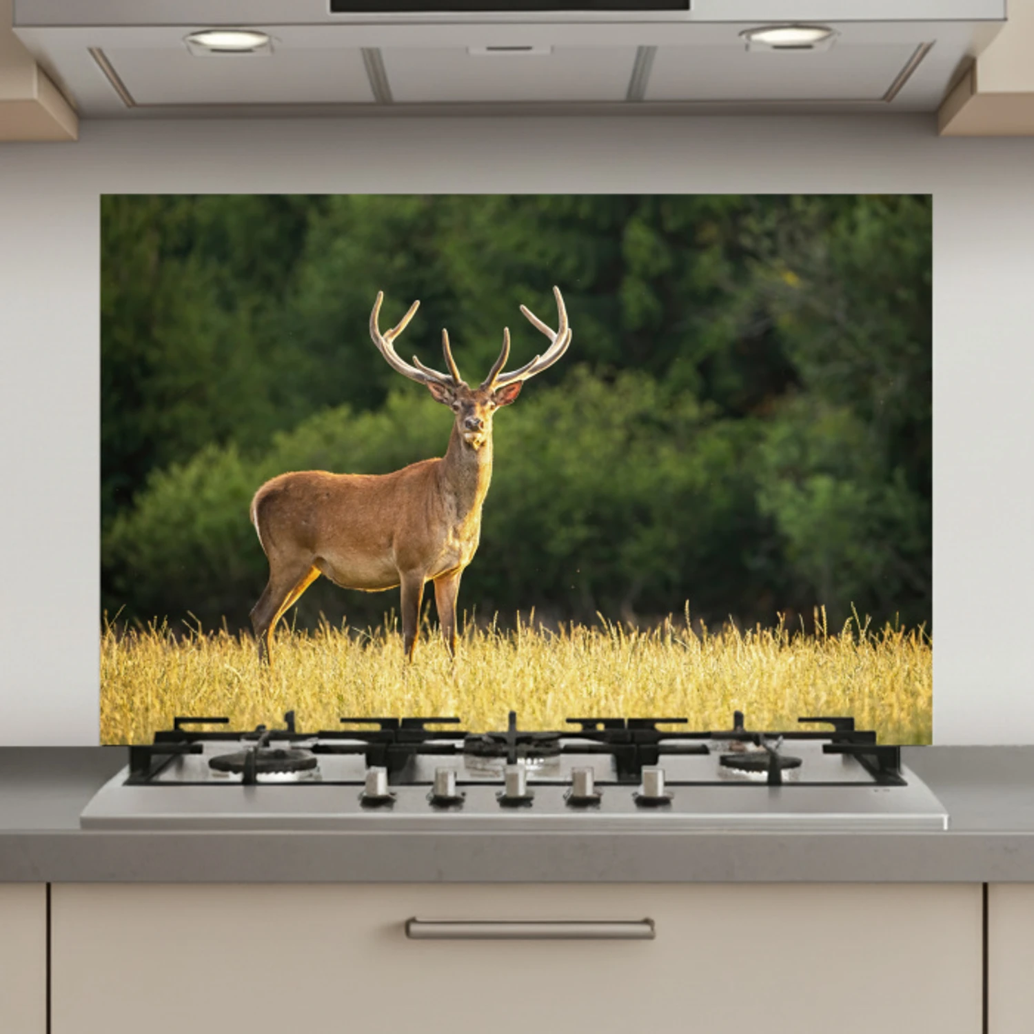 Hert - Gewei - Gras - Natuur - Dieren - Groen keuken achterwand spatscherm klein -3d_website