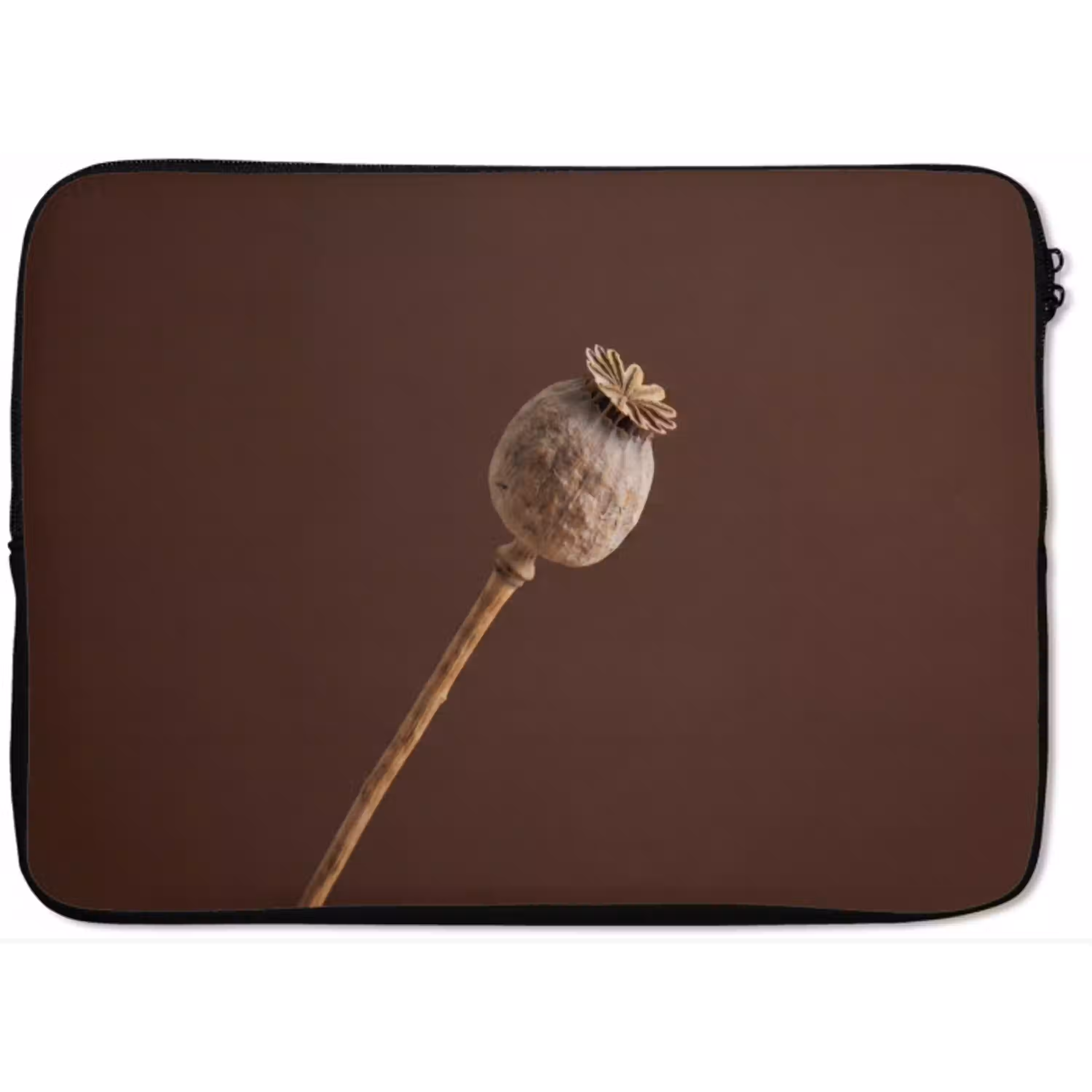 Papaverbol - Droogbloem - Bruin - Minimalistisch laptophoes neopreen klein -zkaufland3dotto