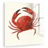 Krab - Felrood - Poten plexiglas 5mm klein -zzzproduct_nieuw