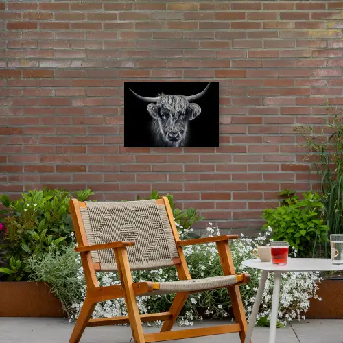 Schotse hooglander - Zwart - Koe - Dieren Tuinposter op houten frame 2 cm dik klein -sfeer3