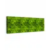 Groen - Zwart - Zebra canvas 2cm klein 828 -z3d